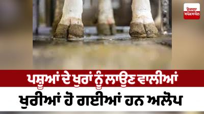 The hooves used to plant the hooves of animals have disappeared