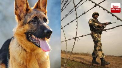 BSF Attari gets German Shepherd 'Frutti', country's first trained dog, to keep an eye on drones with Pakistani soldiers