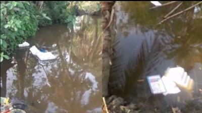  West Bengal Violence