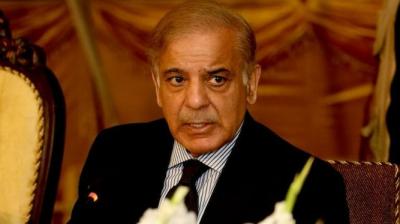 Turkey refuses to host Pakistan PM Shehbaz Sharif  (File)