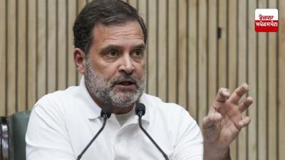 Will raise the issue of LIC agents in Parliament: Rahul Gandhi