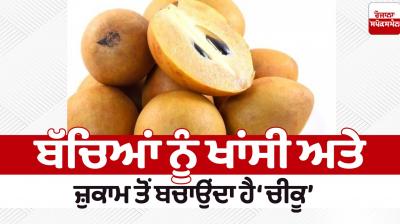 'Chiku' protects children from cough and cold News in punjabi 