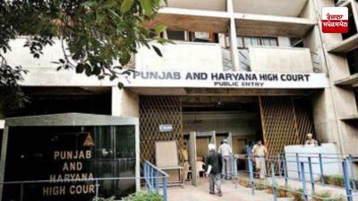 ਮਸਜਿਦ ਤੋਂ ਰਾਸ਼ਟਰੀ ਝੰਡਾ ਹਟਾਉਣ ਦੇ ਮਾਮਲੇ 'ਚ ਹਾਈ ਕੋਰਟ ਨੇ ਵਿਕਾਸ ਤੋਮਰ ਨੂੰ ਅਗਾਊਂ ਜ਼ਮਾਨਤ ਦੇਣ ਤੋਂ ਕੀਤਾ ਇਨਕਾਰ