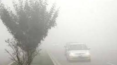 Fog in Punjab