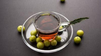 Drink Amla tea daily Heath News