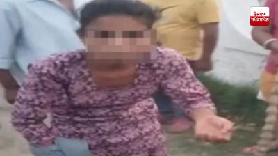 Jalandhar Pitbull Dog News in punjabi 