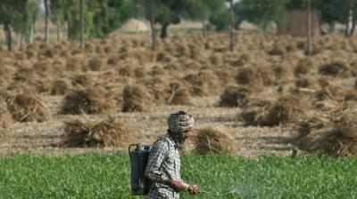 Pm kisan samman nidhi yojana list 2019 2020