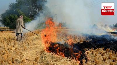 Parali News: Use of straw-based fuel will be mandatory in kilns in Punjab and Haryana