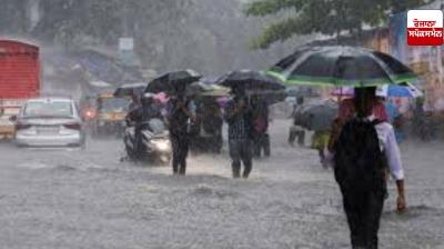 Rain likely in 8 districts of Haryana, crops on 29 lakh acres in 6 thousand villages damaged