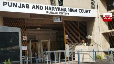 punjab and haryana high court