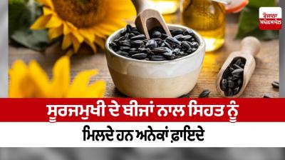 Sunflower seeds have many health benefits