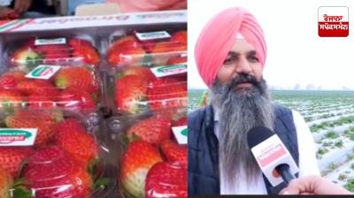 If you also do this farming, you won't have to go abroad, you will earn a lot of money.