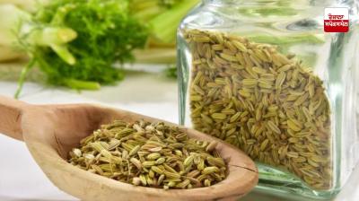Anise is useful for health