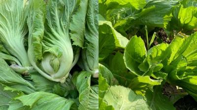 Image: For representation purpose only. 