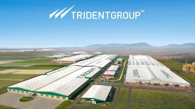 Trident Group 