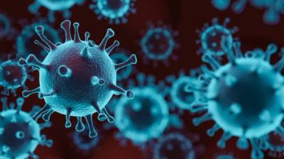 About 60000 people died in one month due to Corona in China