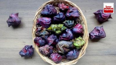 Singhara is beneficial for asthma patients