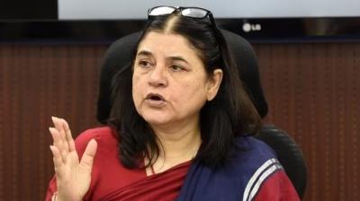 BJP's Maneka Gandhi says 'ISKCON biggest cheat, sells cows to butchers'