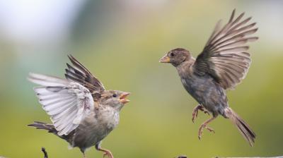 Image: For representation purpose only. 