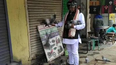 Odisha birdman traffic cop of mayurbhanj feeds thousands of pigeons daily