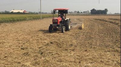 Parali duty negligence action