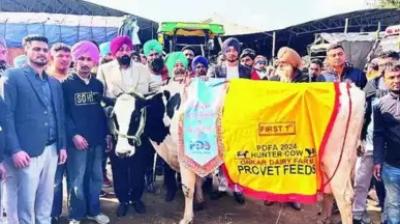 Moga farmer's 'Hunter' sets record with 74kg milk yield in 24 hours 
