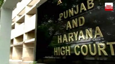Punjab Haryana High Court News in punjabi 