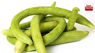 Tra Farming News in punjabi 