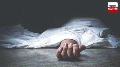 Pilot dies after landing in Delhi