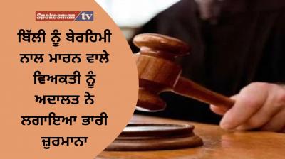 Mumbai a cat brutally murdered by a person now court fined him