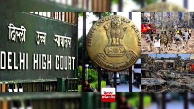 Delhi riots pre-meditated conspiracy- Delhi High Court