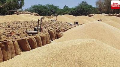 Arrangements for wheat procurement in Punjab from April 1 complete