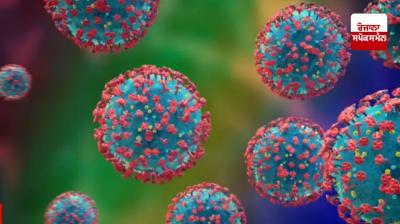 12 cases of HMPV Virus in india news in punjabi 