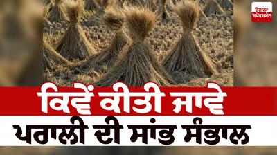 Stubble management tips