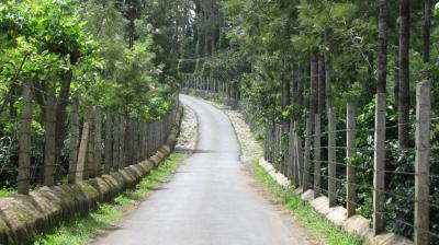 Monsoon getaways from chennai