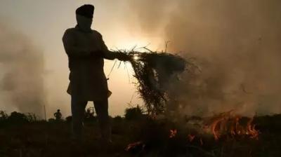 Stubble burning down News