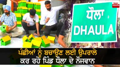 Youngsters from village Dhaula trying to save the birds