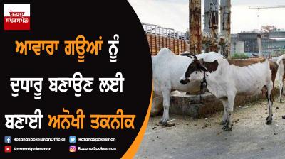 Jaipur : Dr. Sanjay Soni developed new medical device 