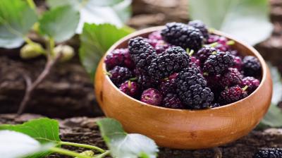 Consume mulberry in summer