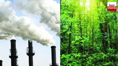 special artical mattewara forest