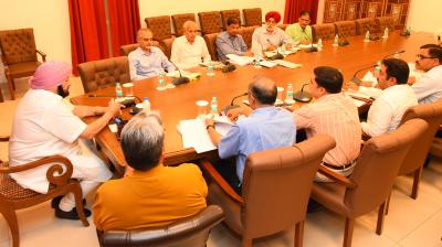 Punjab CM sets up working group to tackle growing stray dog menace