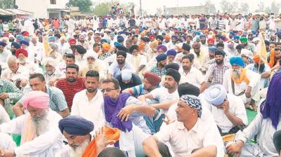 Farmer organisations