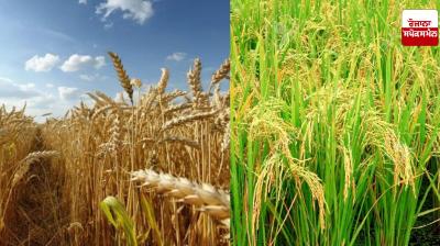 Meteorological Department issues big warning about climate change, crop production will be affected