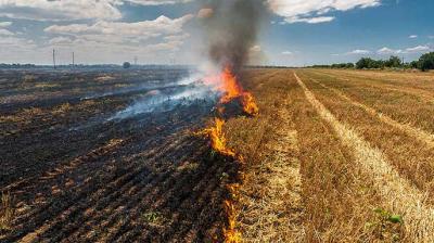 Stubble Burning