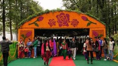 52nd Rose Festival starting today in Chandigarh News