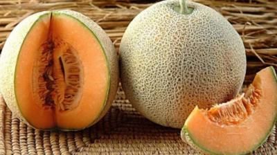 Muskmelon