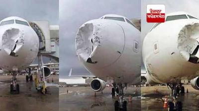Emergency landing after bird strike in Brazil