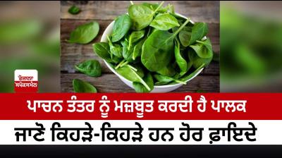 Palak strengthens the digestive system
