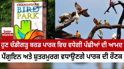 Chandigarh Bird Park