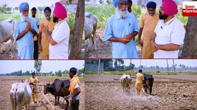 Two farmer brothers have been farming with a pair of bullocks 